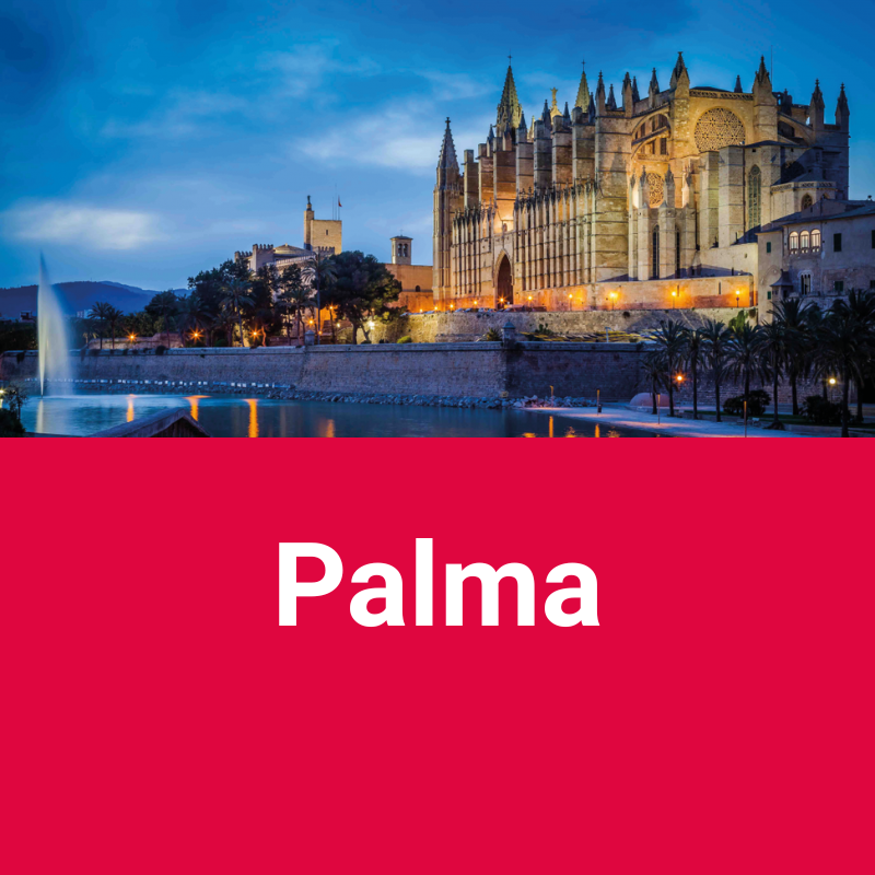 Cursos en Palma